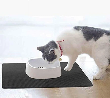 Plain Dyed Super Absorption Microfiber & Sponge Multi-usage Drying Mat